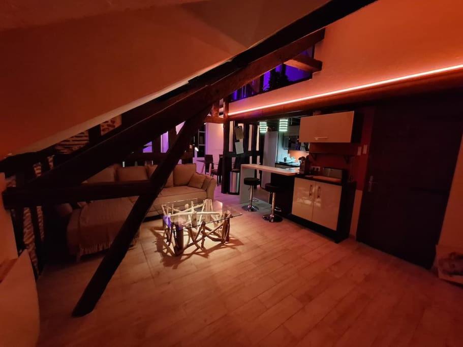 Apartamento Le Perchoir De L'Empereur Orléans Exterior foto